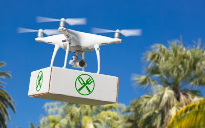Drone Food Delivery Australia: What Do You Think?