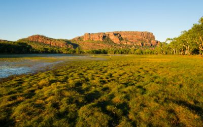 Drones Protect Kakadu National Park From Weeds